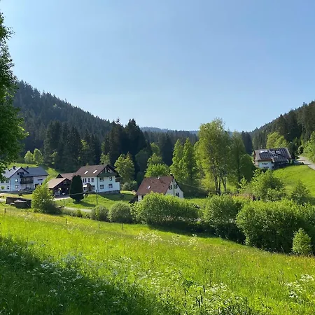 Holiday home Suessbaechle - Hunde-zaun - Enzklosterle